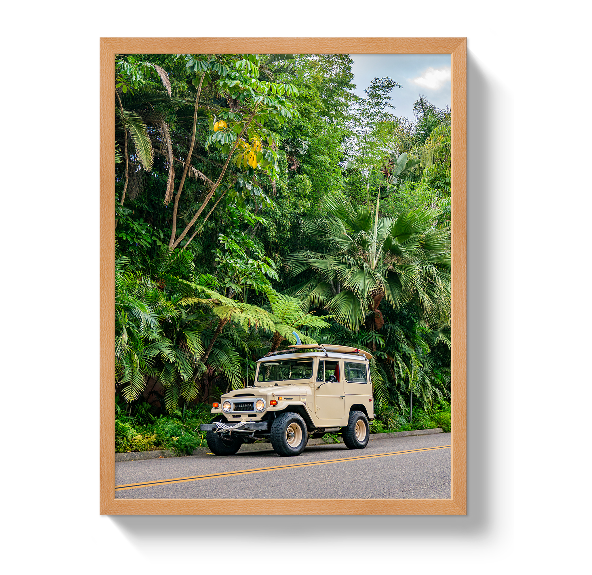 Tropical FJ 2