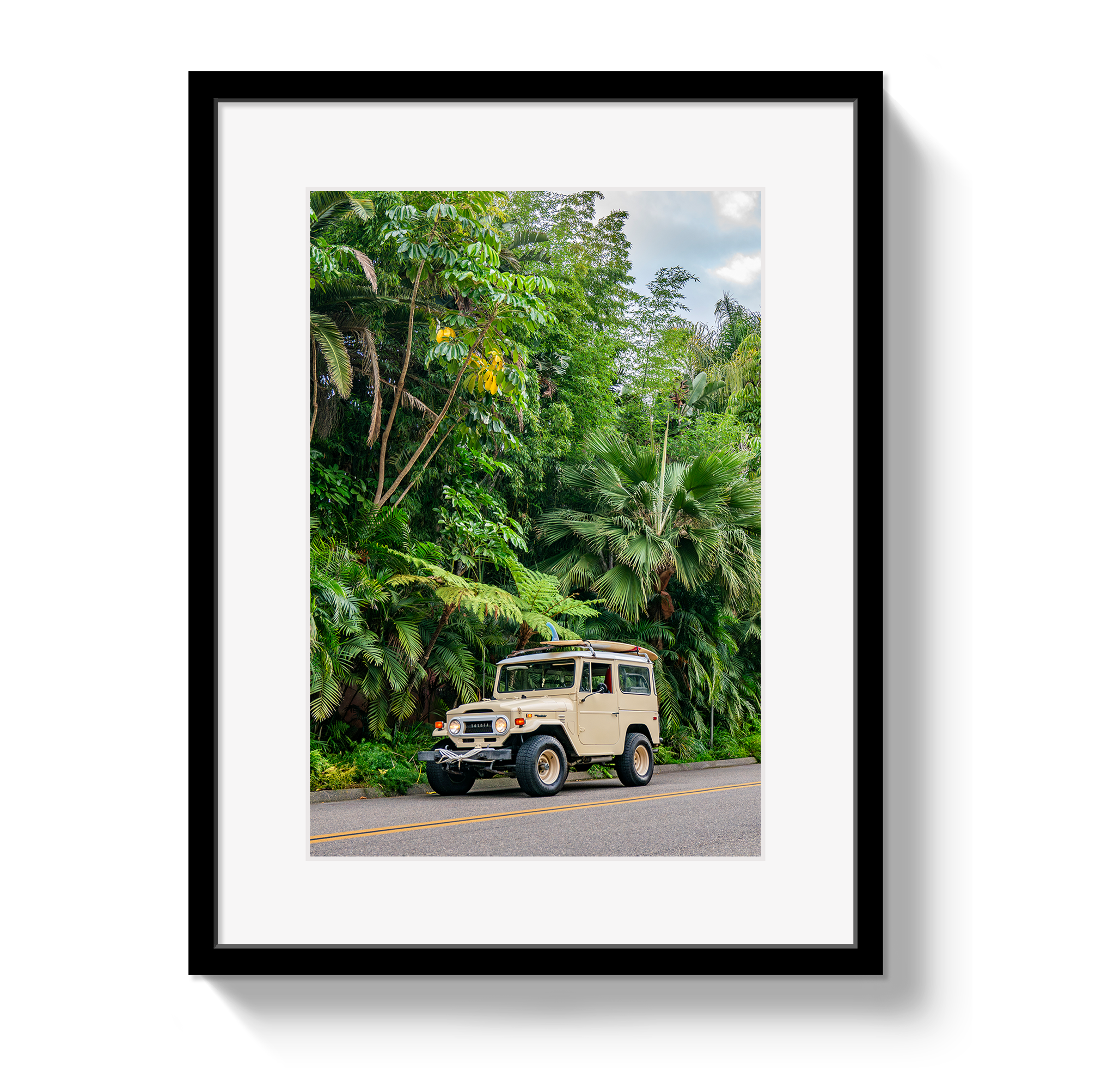 Tropical FJ 2