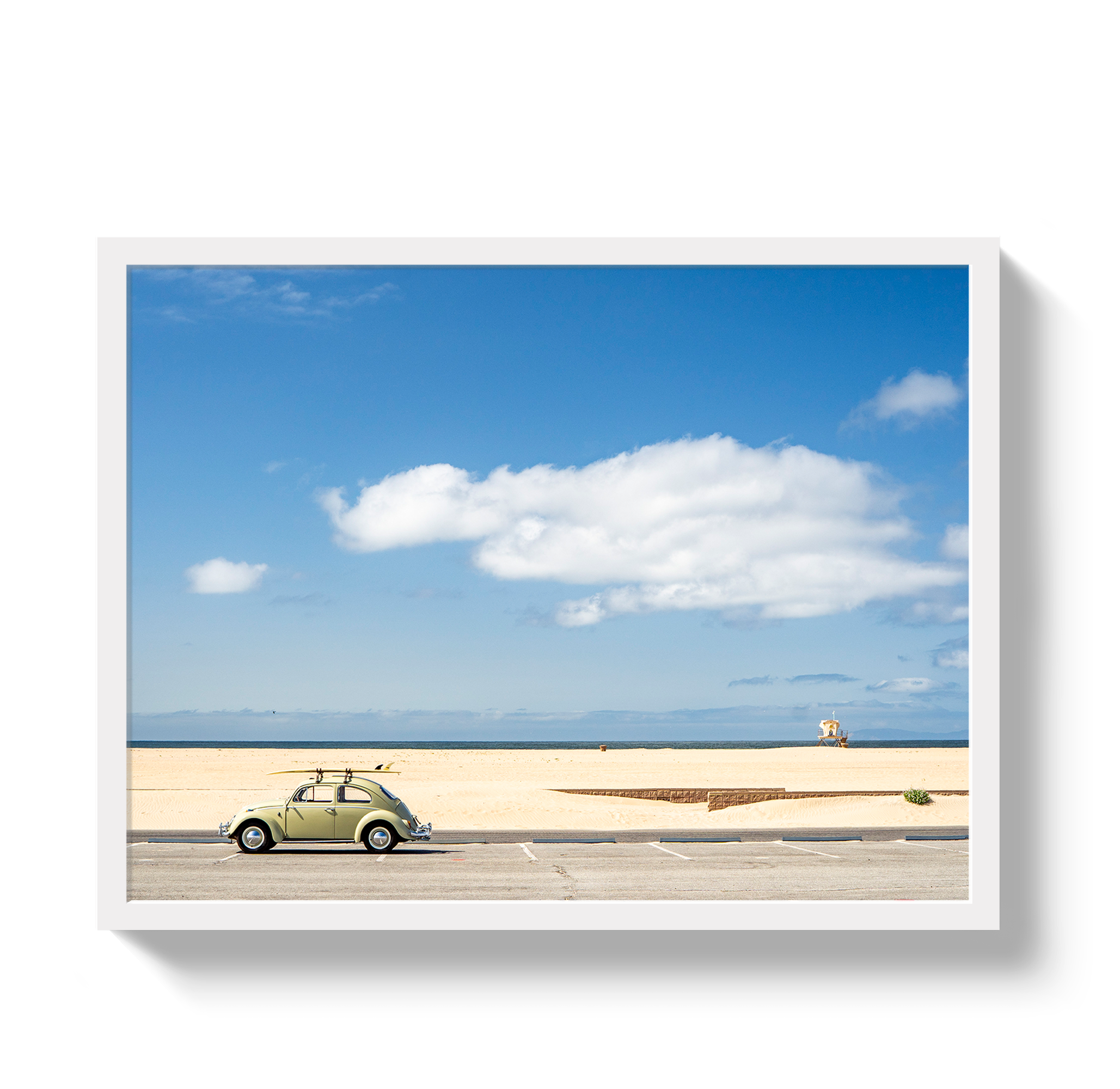 Beetle