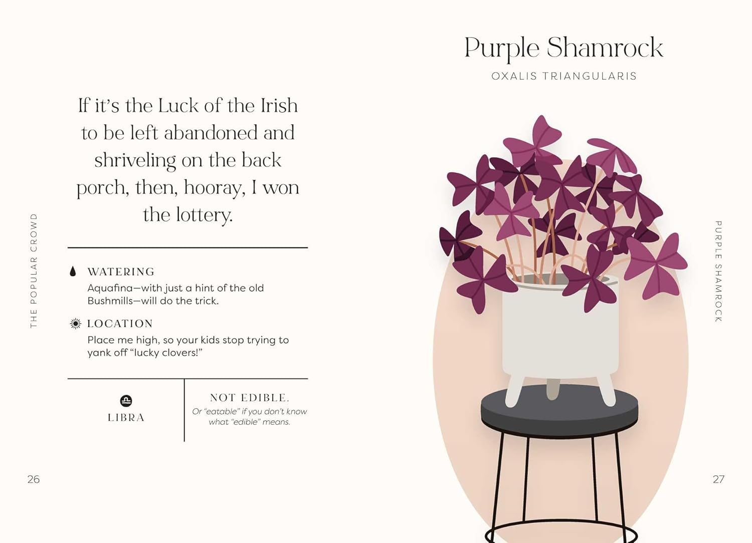 Houseplants and Their Thoughts