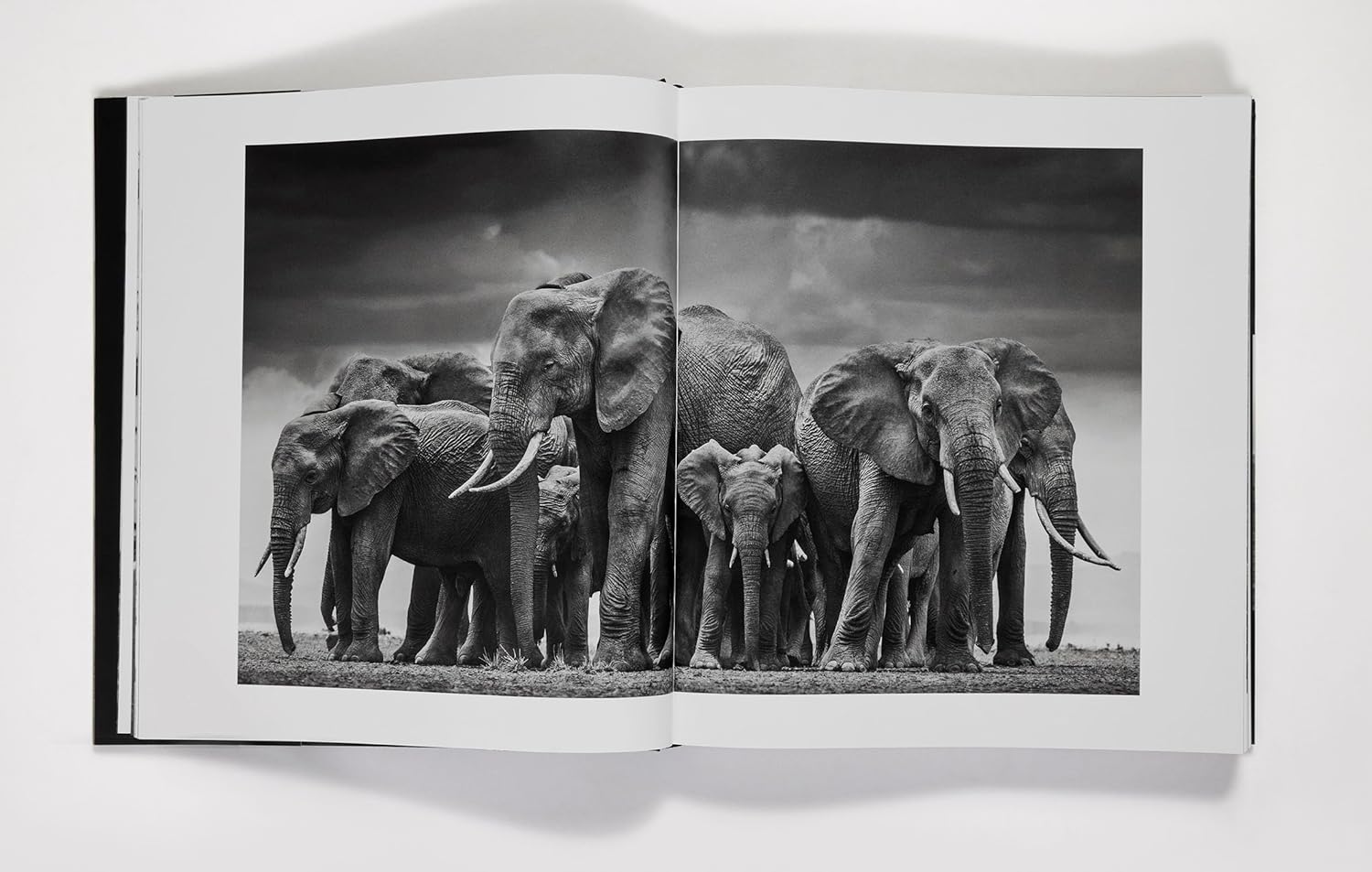 David Yarrow The Collection