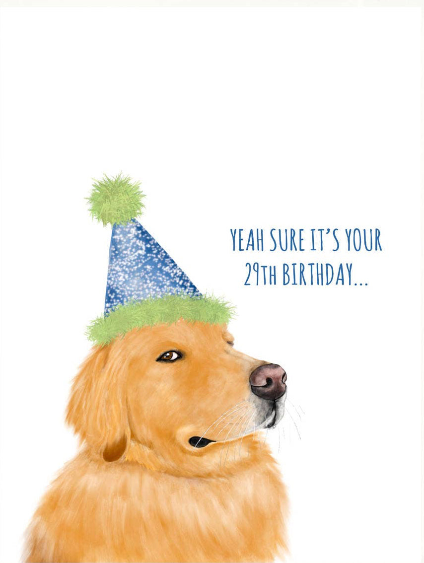 Dog wearing a birthday hat with text on a white background