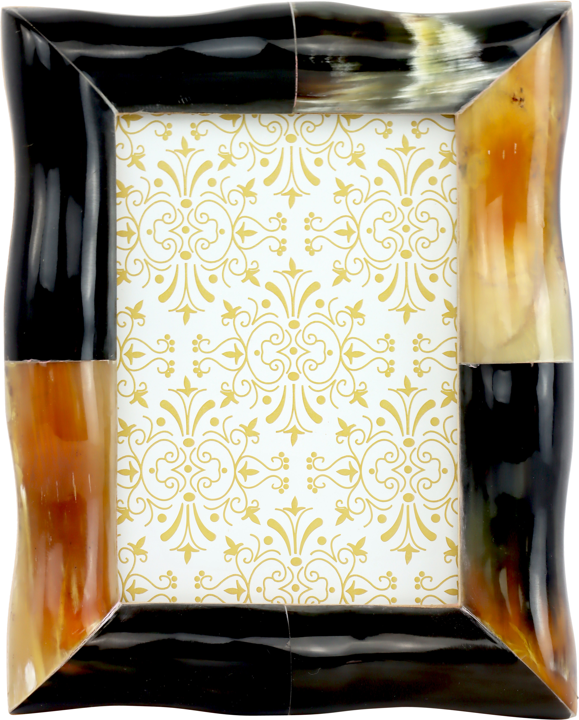 Resin Horn Frame
