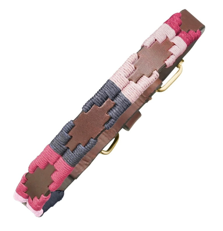 Dog Collar