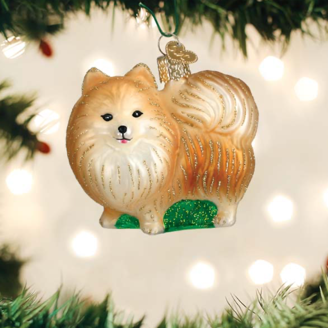 Standing Pomeranian