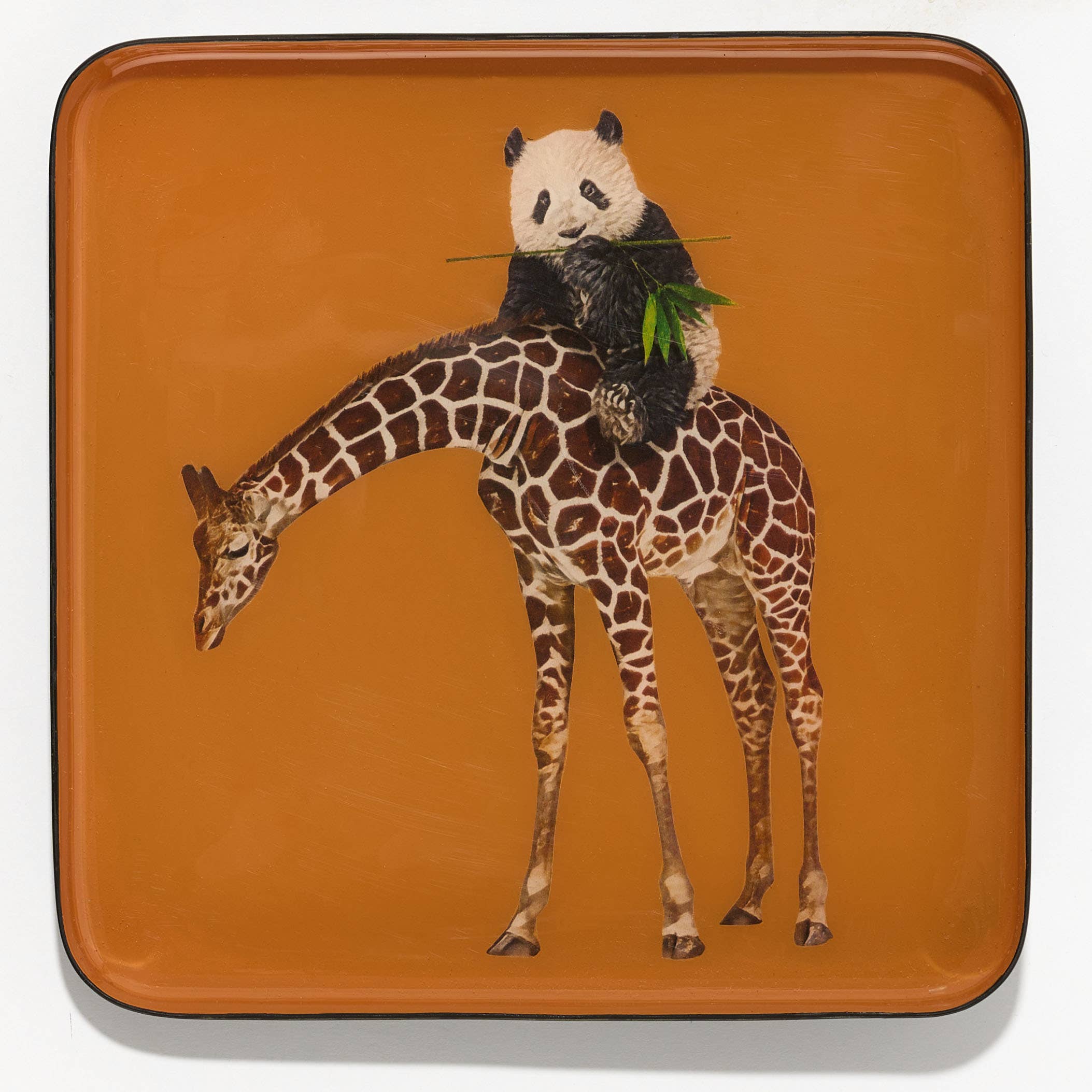 Bandipanda Trinket Tray