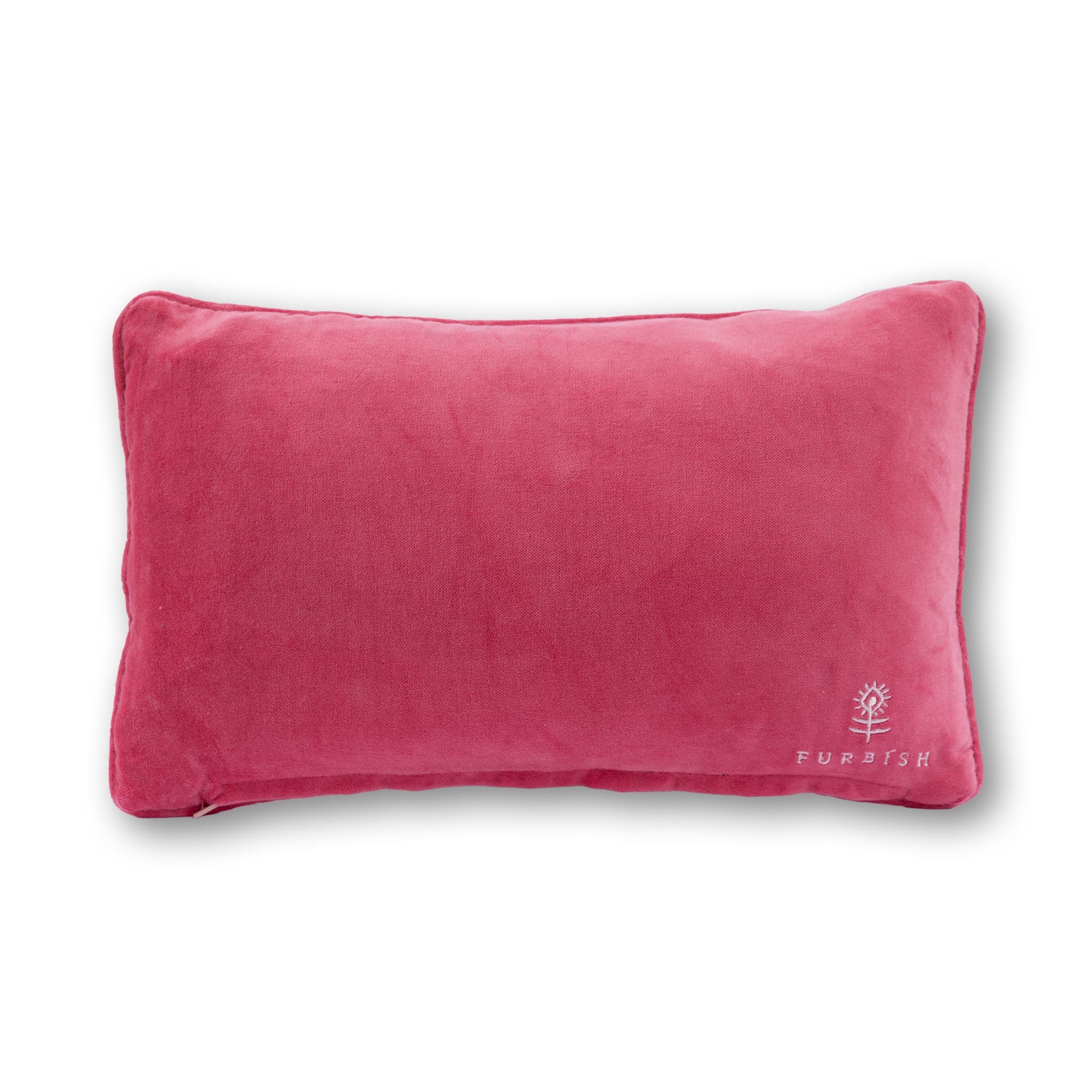 F This Needlepoint Pillow