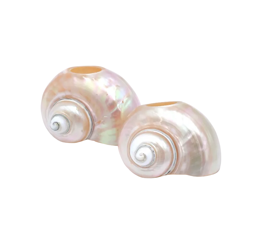 Seashell Napkin Rings