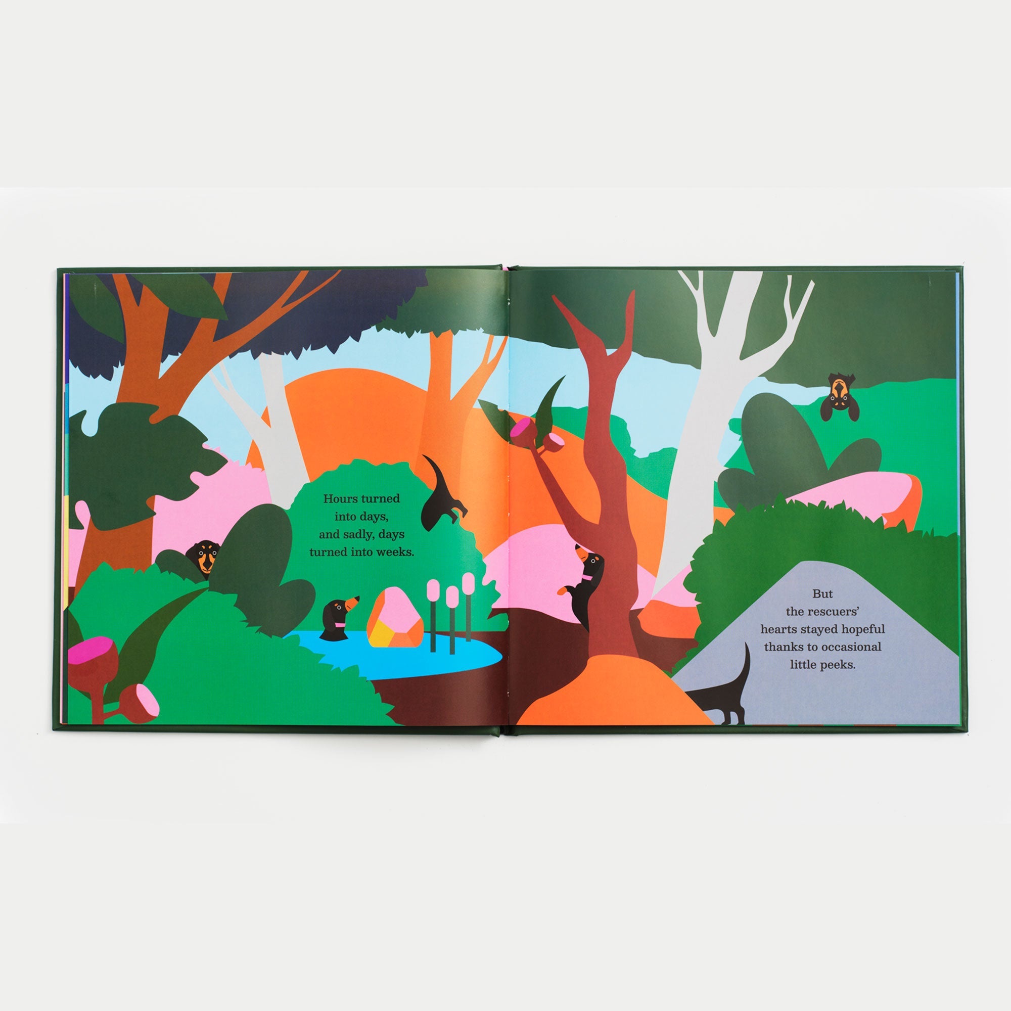 Valerie Dachshund Explorer