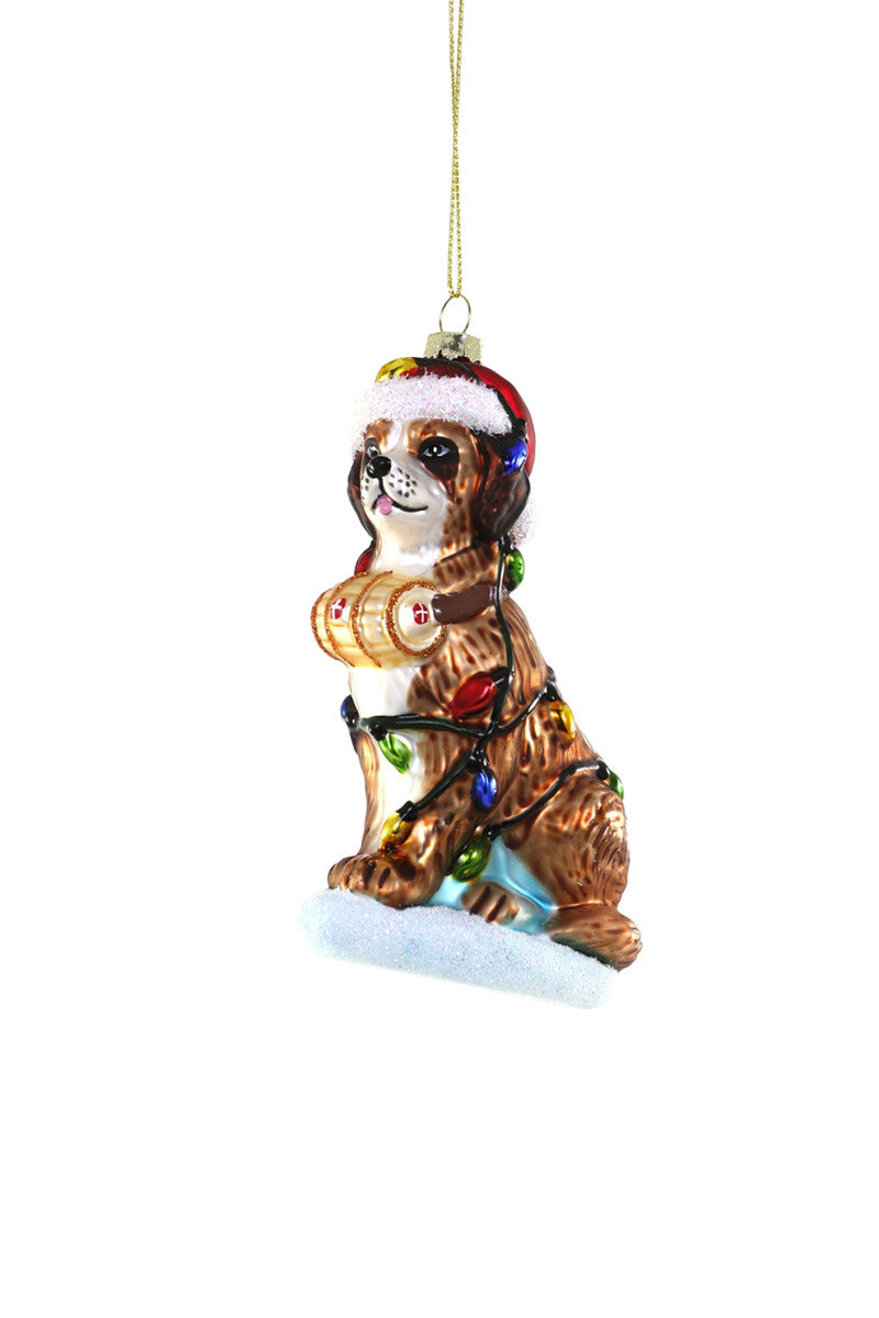 Festive St. Bernard