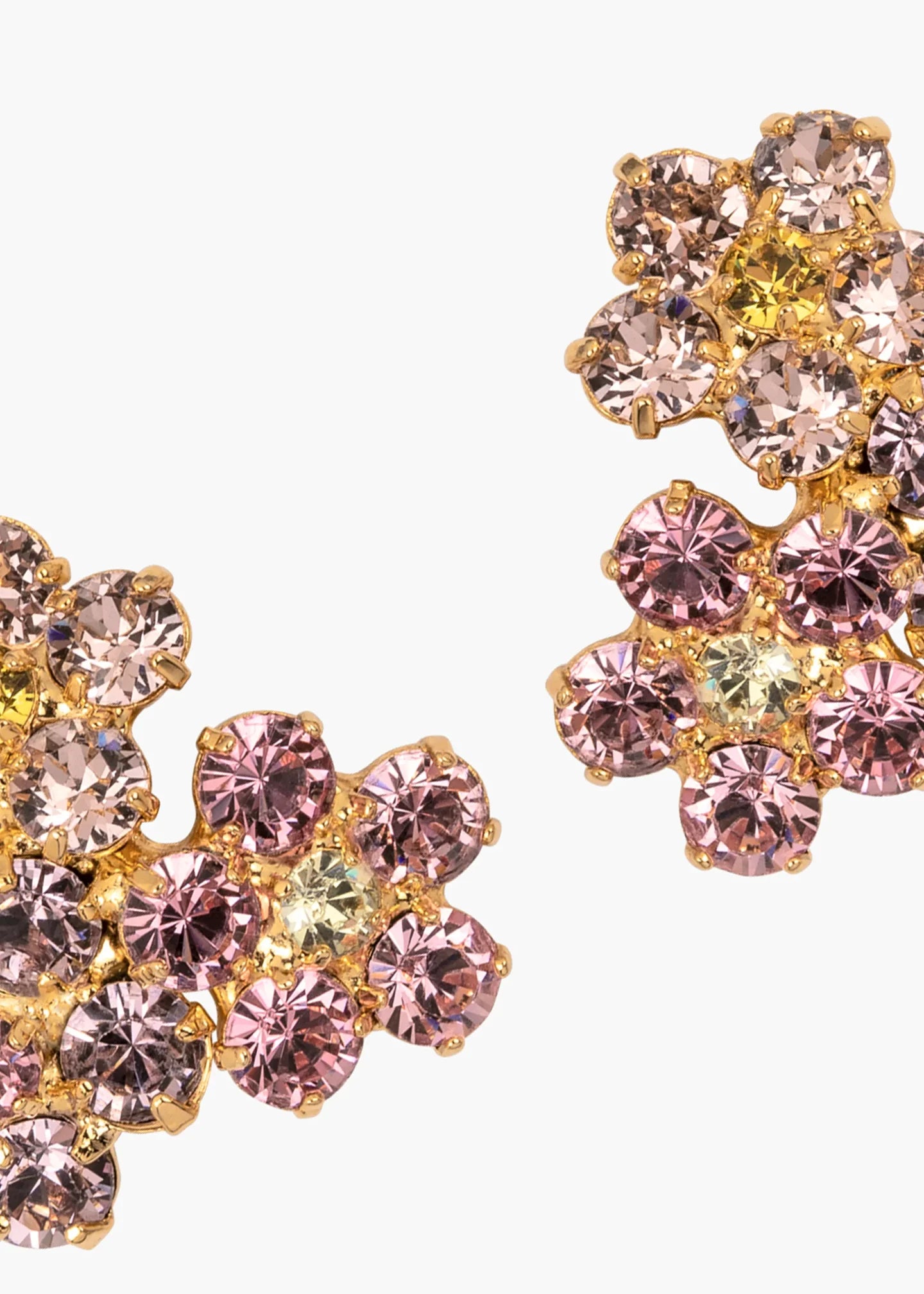 Violet Stud - Rose Multi