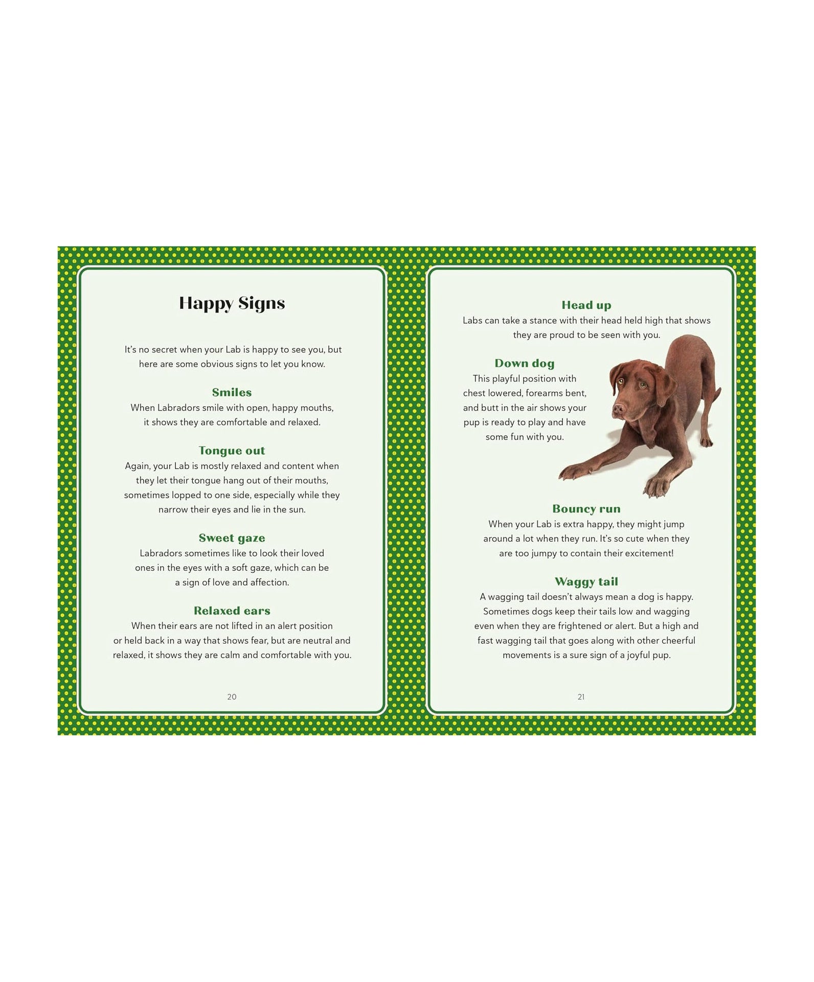 Book page with text and illustrations of a dog on a green border