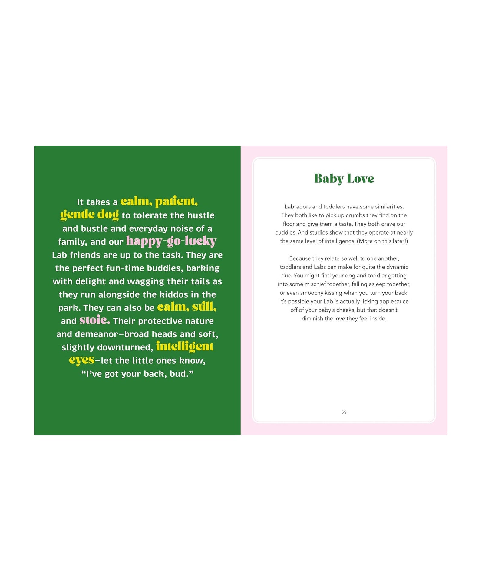 Text on a green and pink background with a white border
