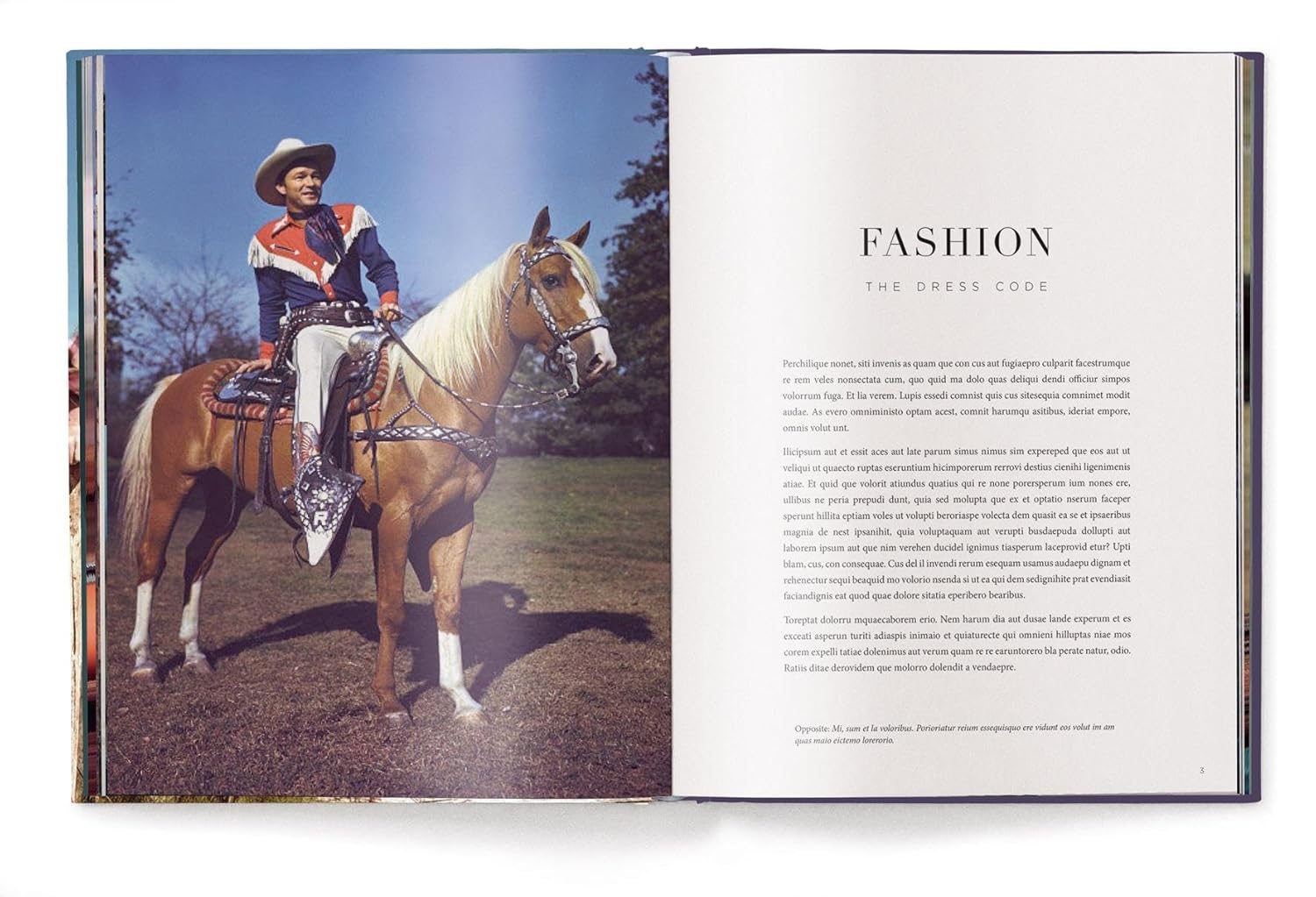 THE STYLISH LIFE: COWBOYS