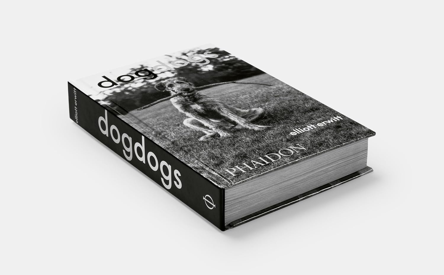 DogDogs