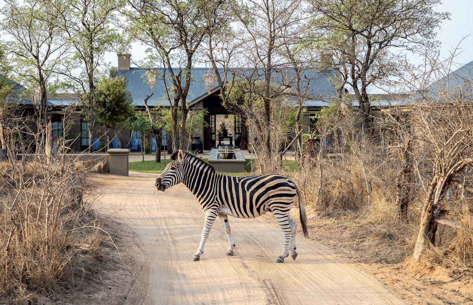 Safari Style: Exceptional African Camps and Lodges