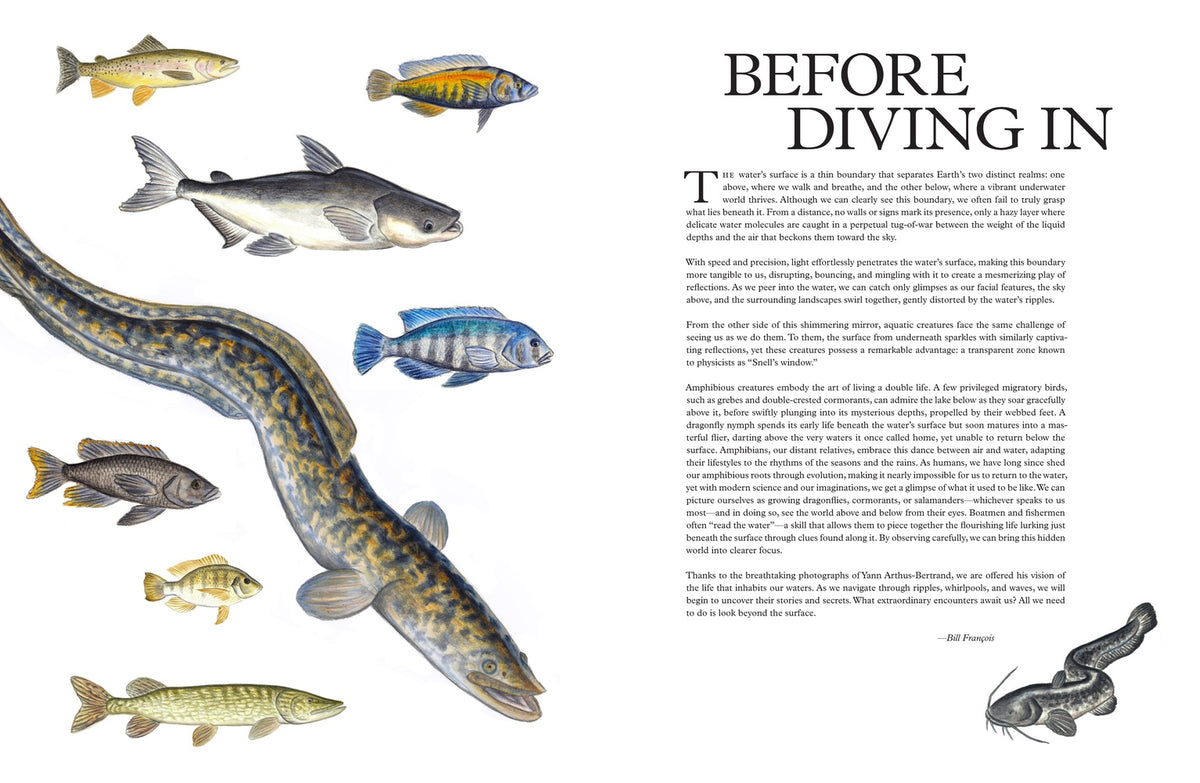 Freshwater: The View from Above and the Life Below