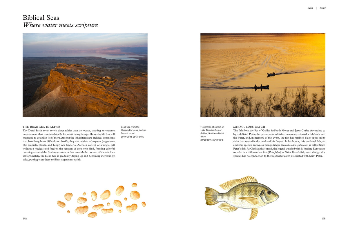 Freshwater: The View from Above and the Life Below