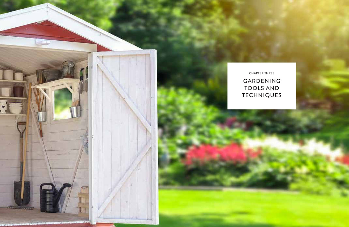 The Gardener's Bible