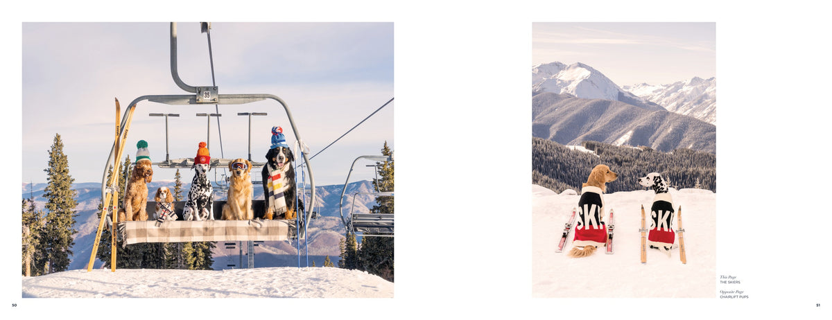 Gray Malin: Snow