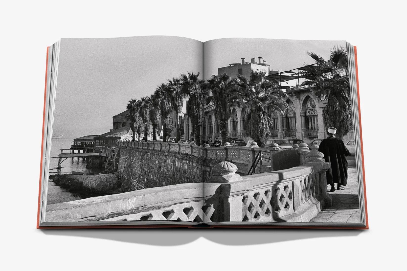 Beirut Habibi