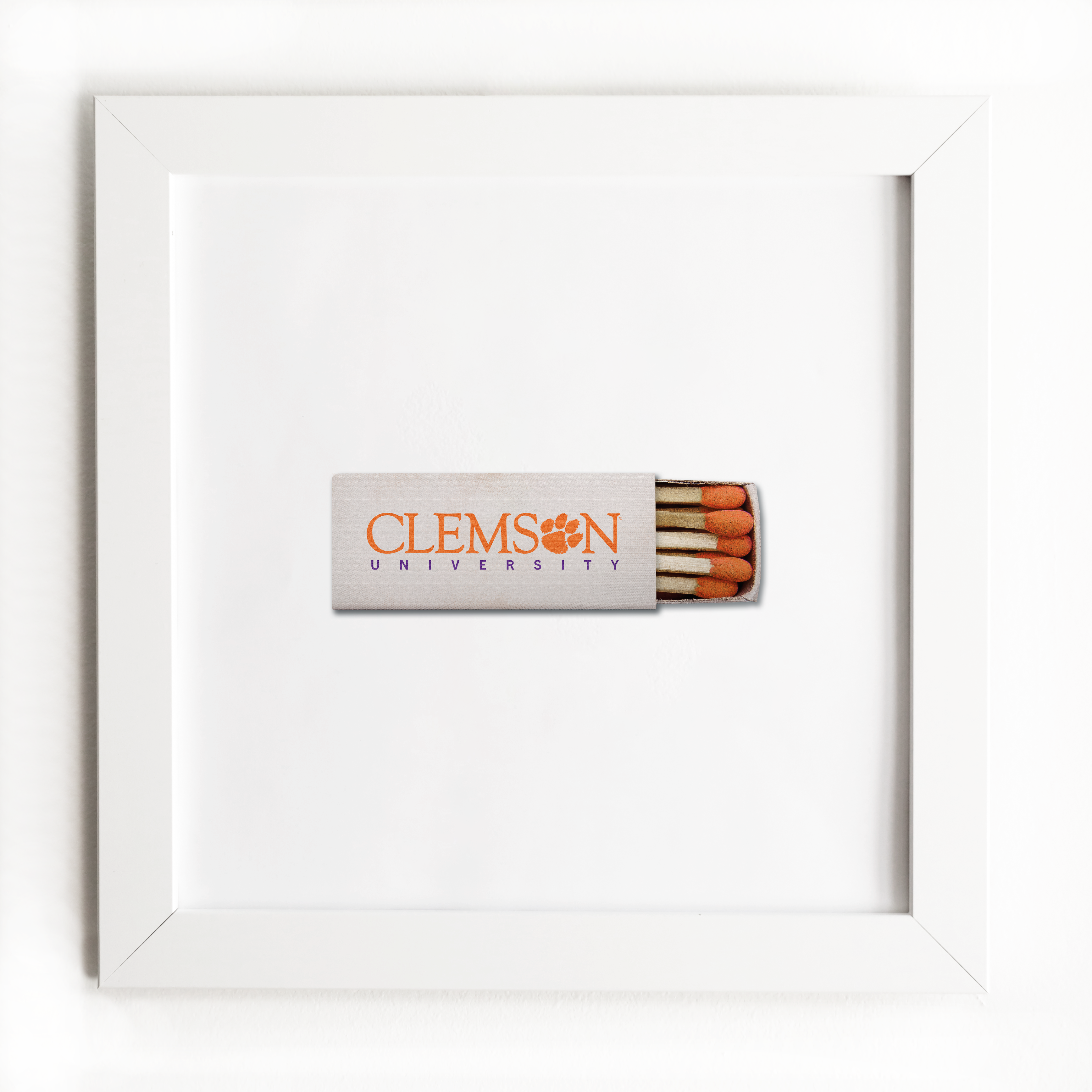 Clemson University Vol. 1