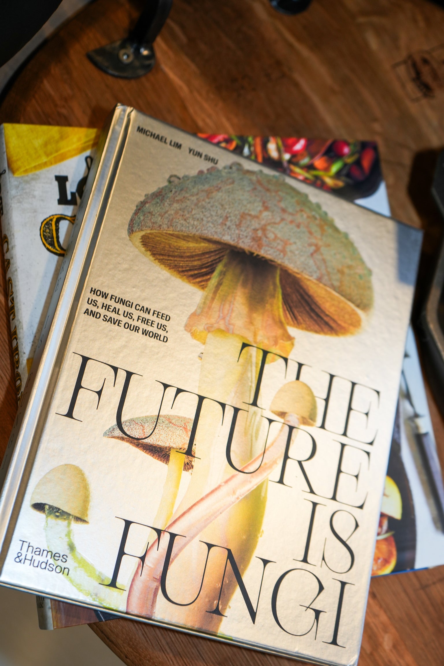 The Future is Fungi
