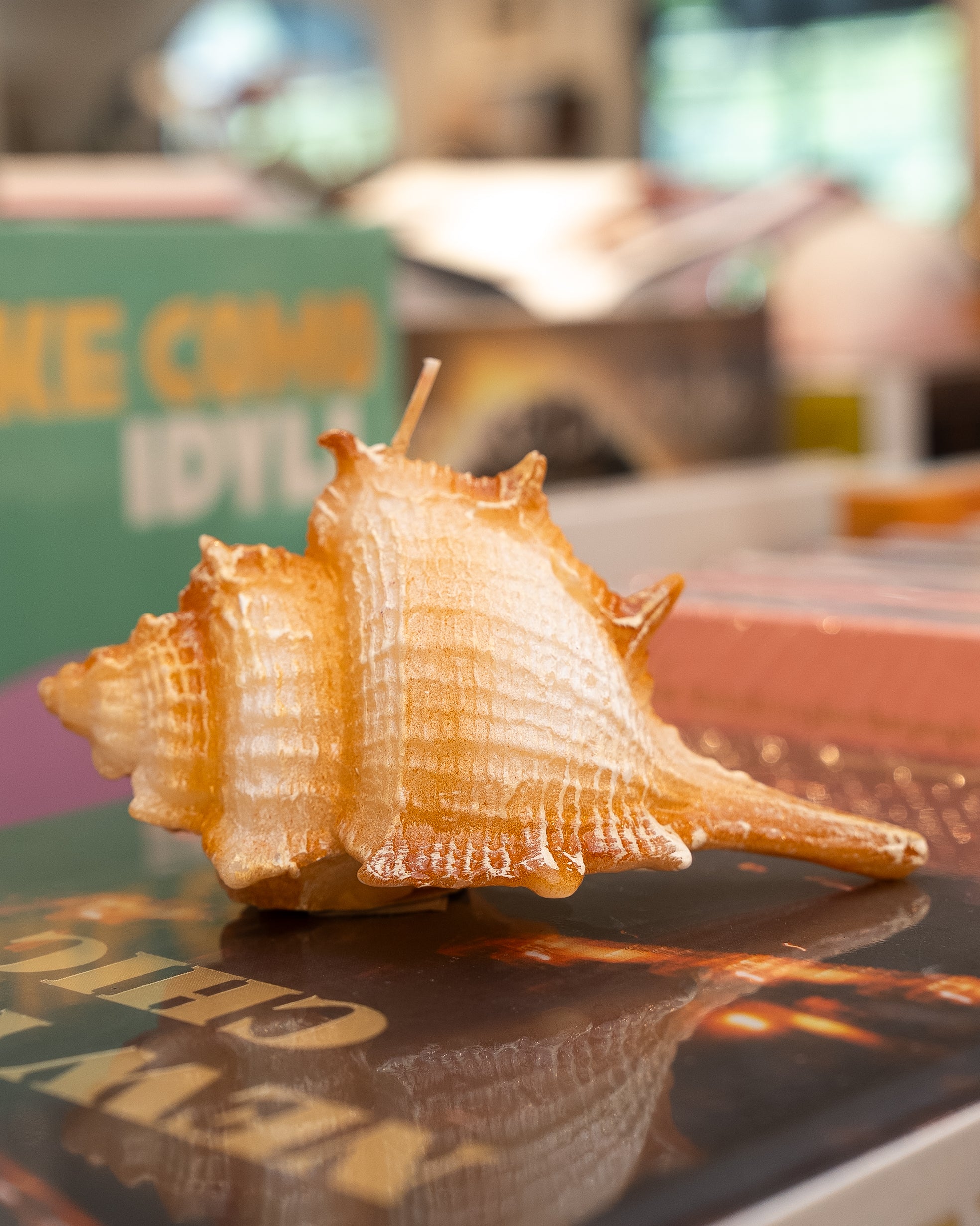 Medium Shell Candle