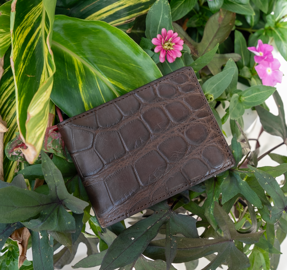 Alligator Bifold in Matte Chocolate