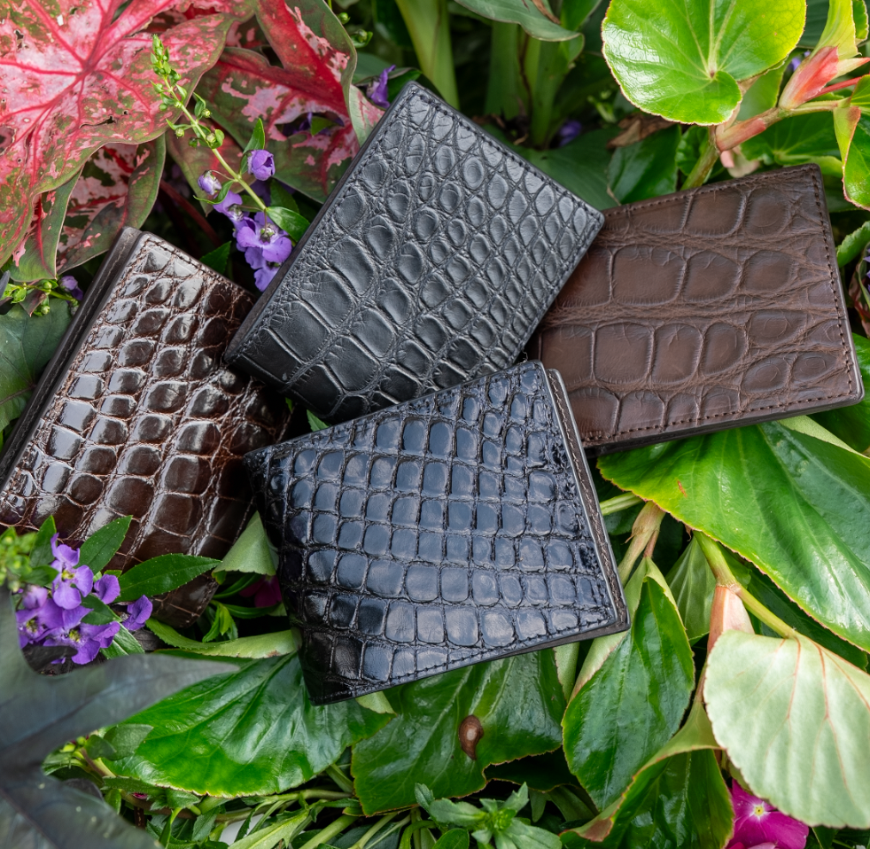 Alligator Bifold in Glossed Black