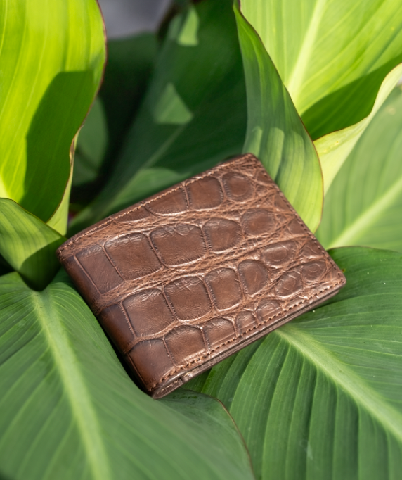 Alligator Bifold in Matte Chocolate