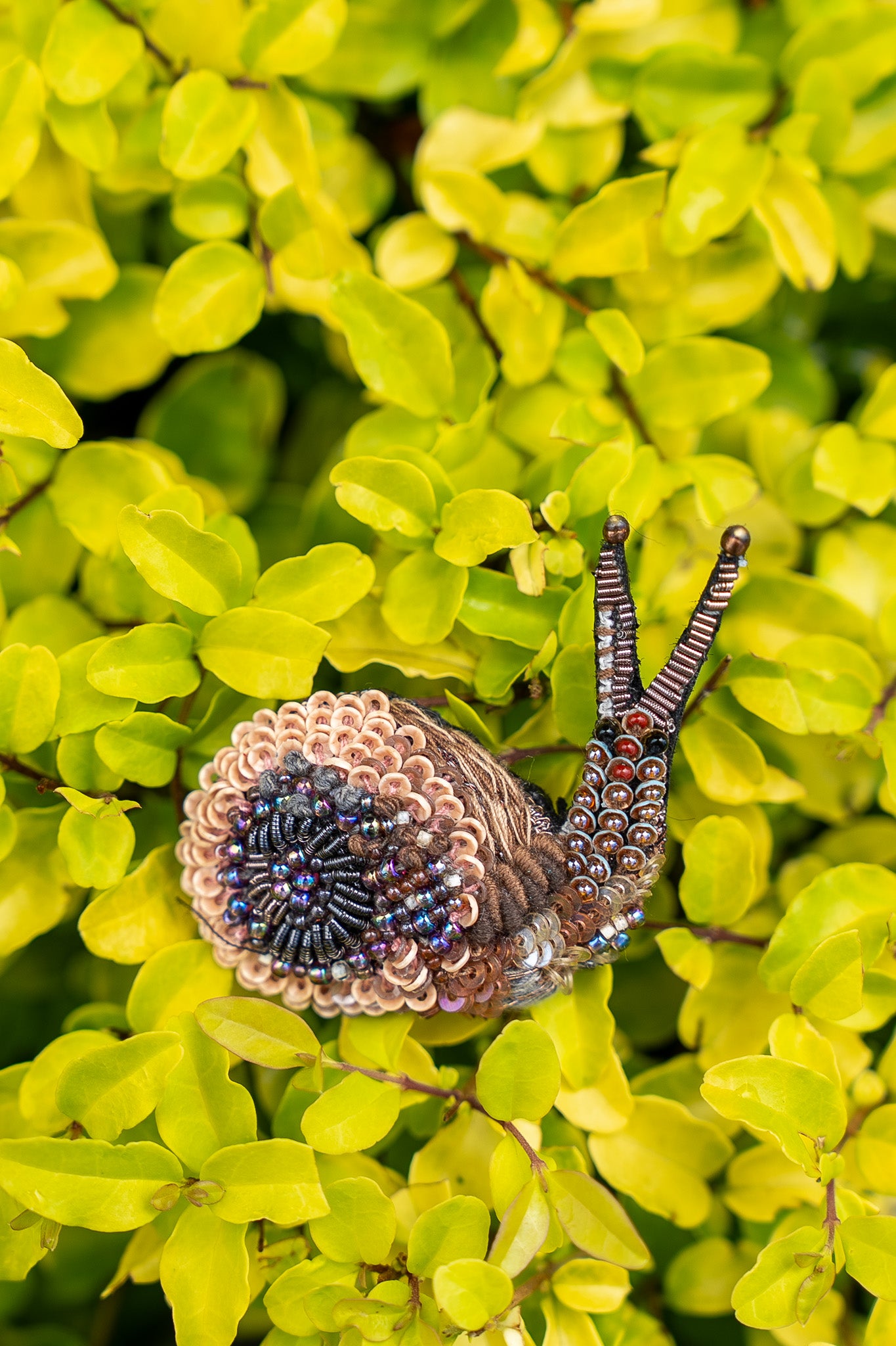 Snail Brooch