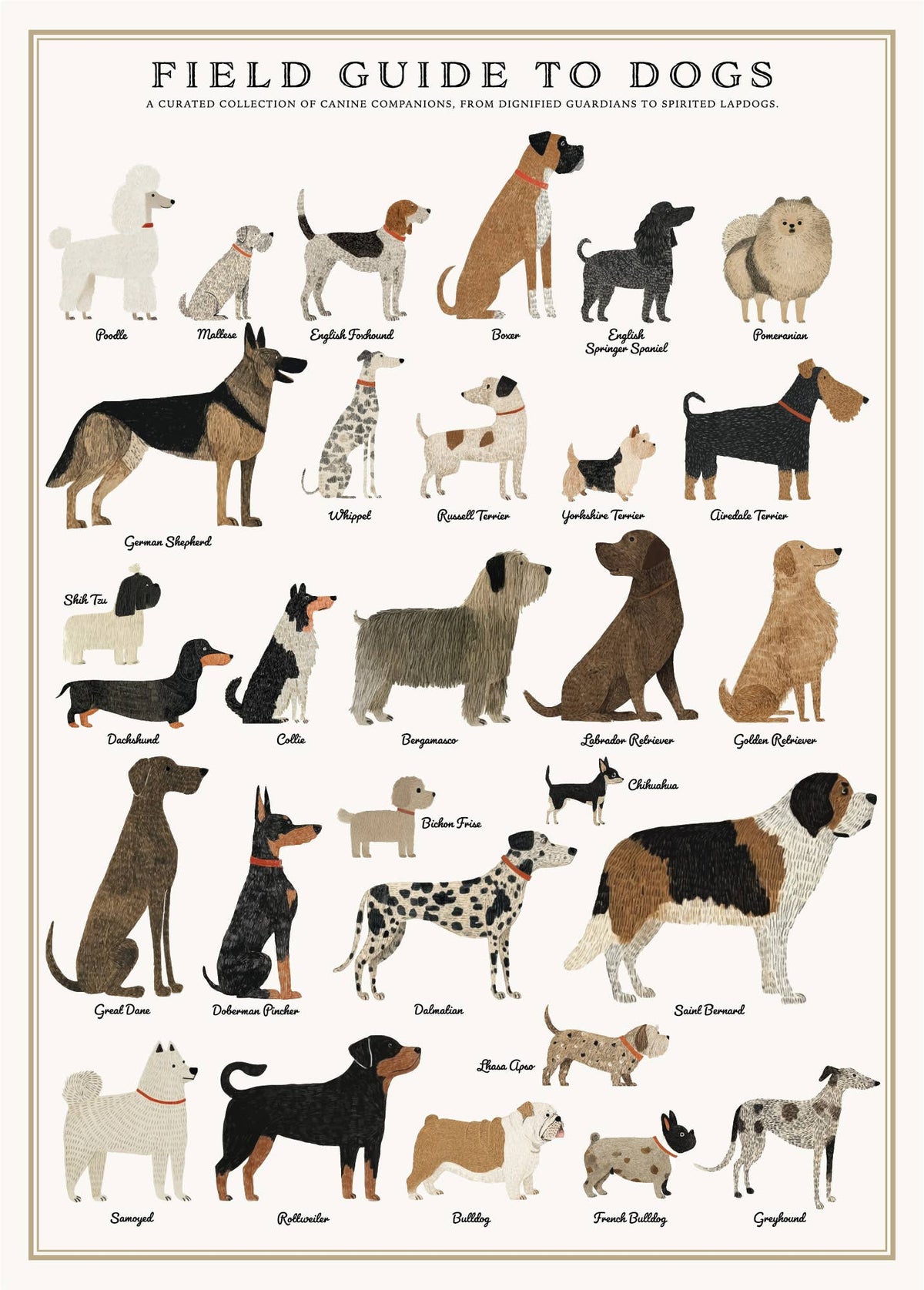 Dogs Puzzle - 500 Pc