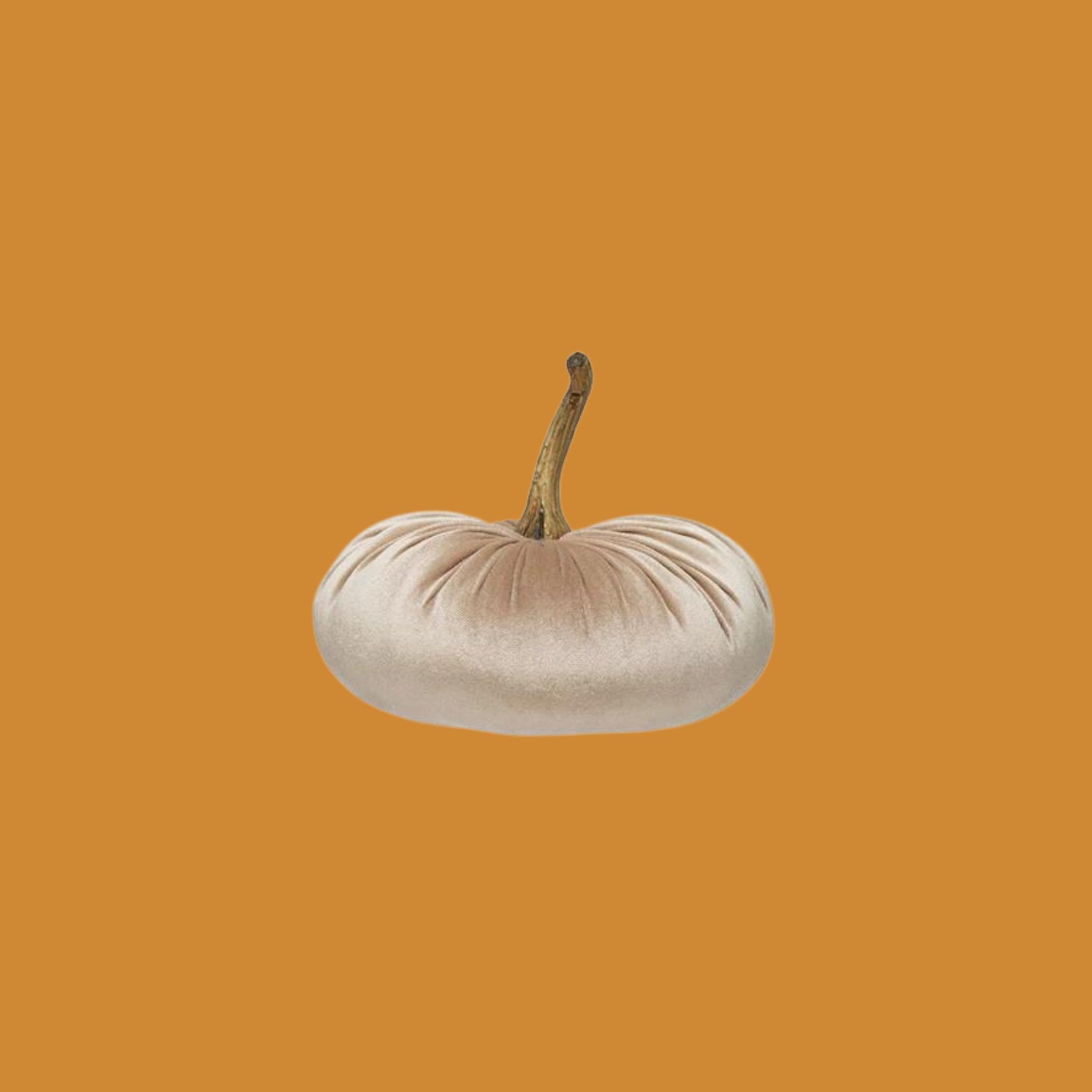 Champagne Velvet Pumpkin