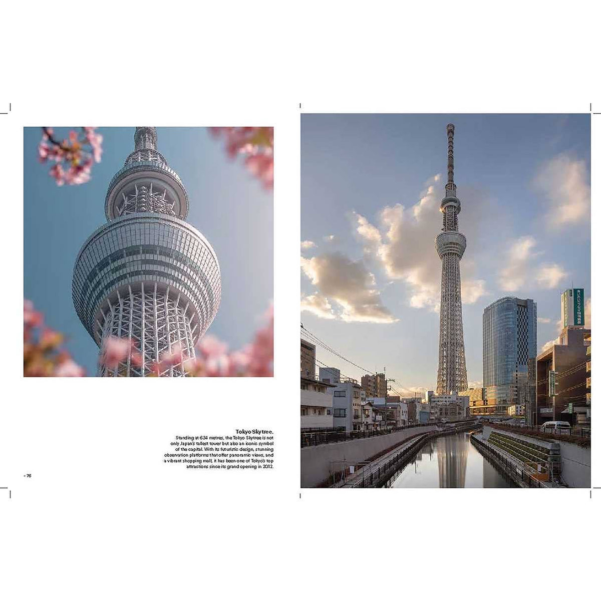 Eternal Japan