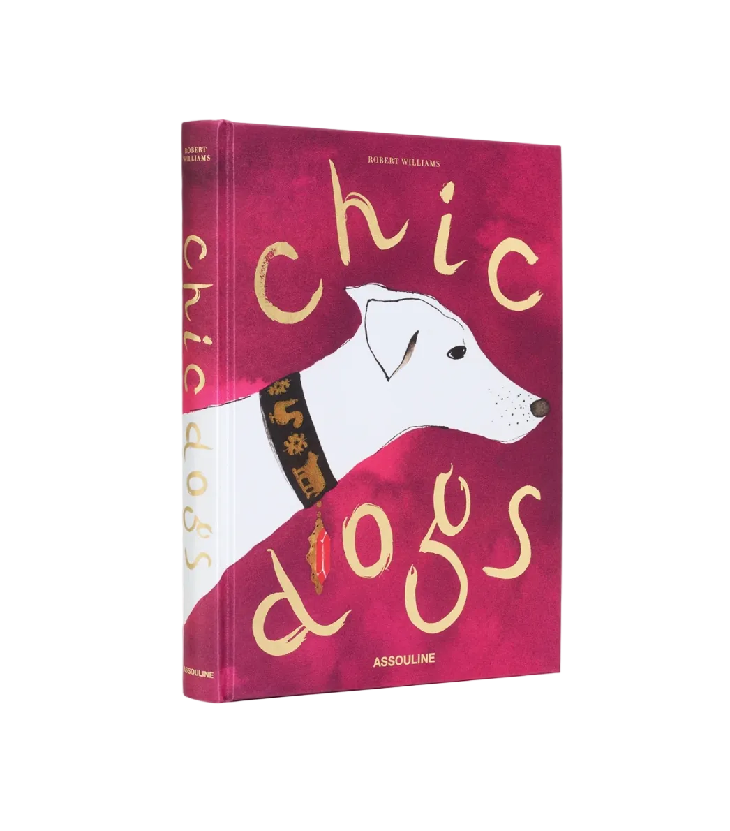Book titled 'Chic Dogs' with a dog illustration on a red background