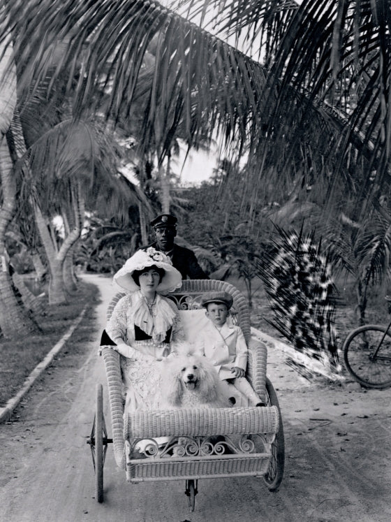 Rattan