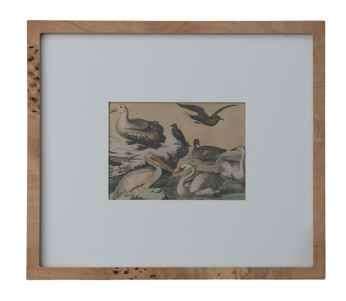 Wall Photo Frame with White Mat - 5 x 7