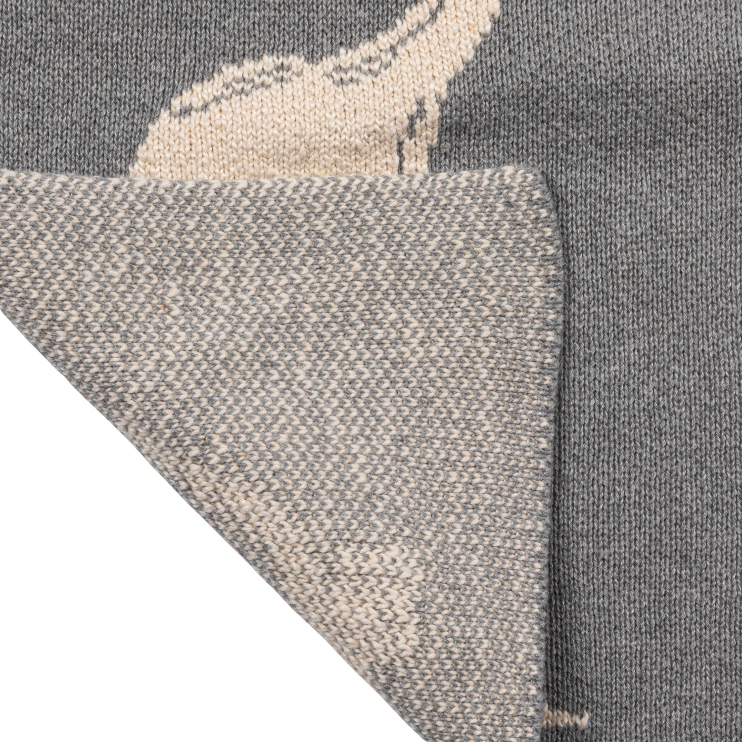 Baby Dinosaur Blanket