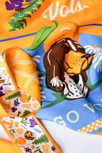 Tennessee Skinny Scarf