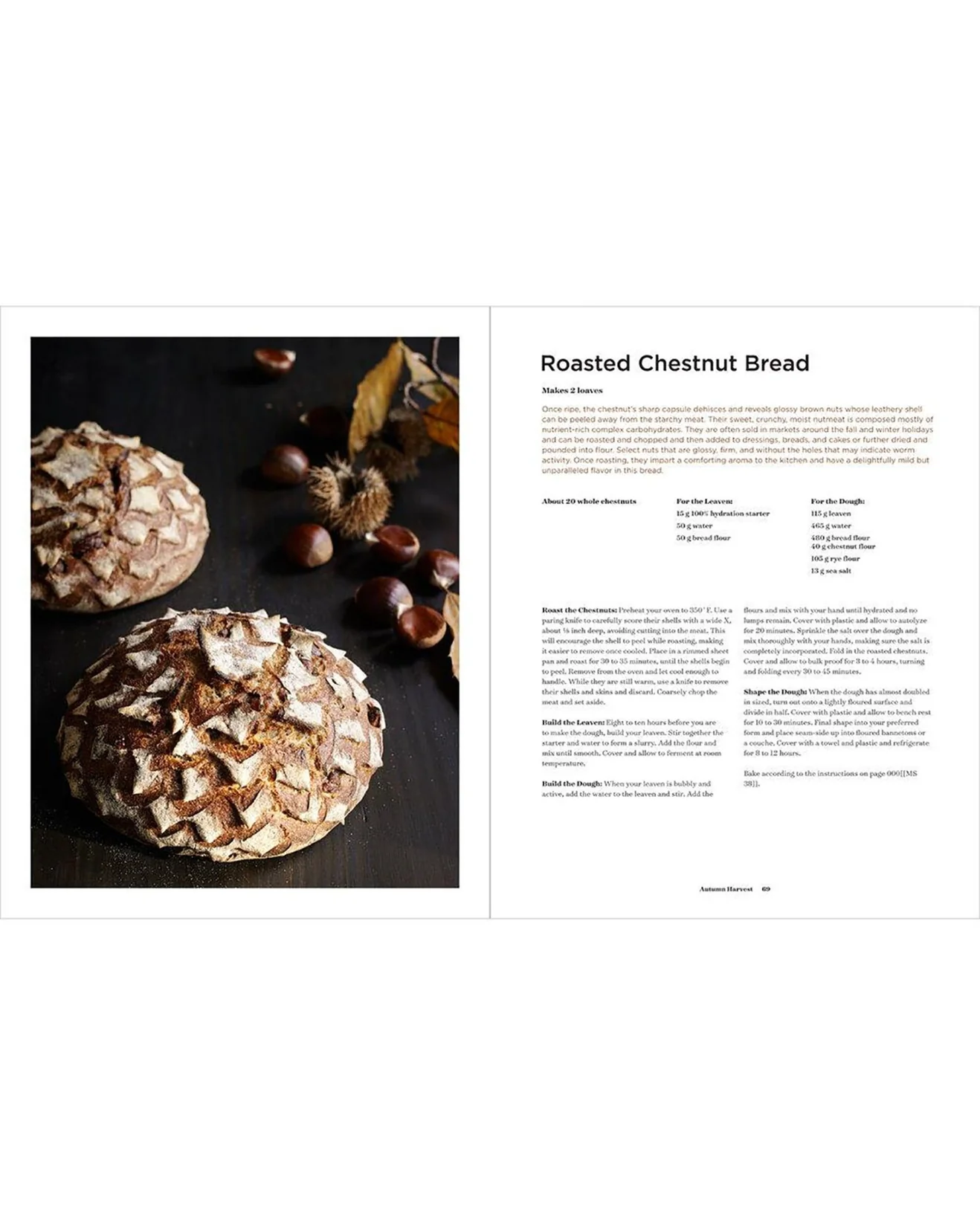 Sourdough: Recipes for Rustic Fermented Breads, Sweets, Savories, and More