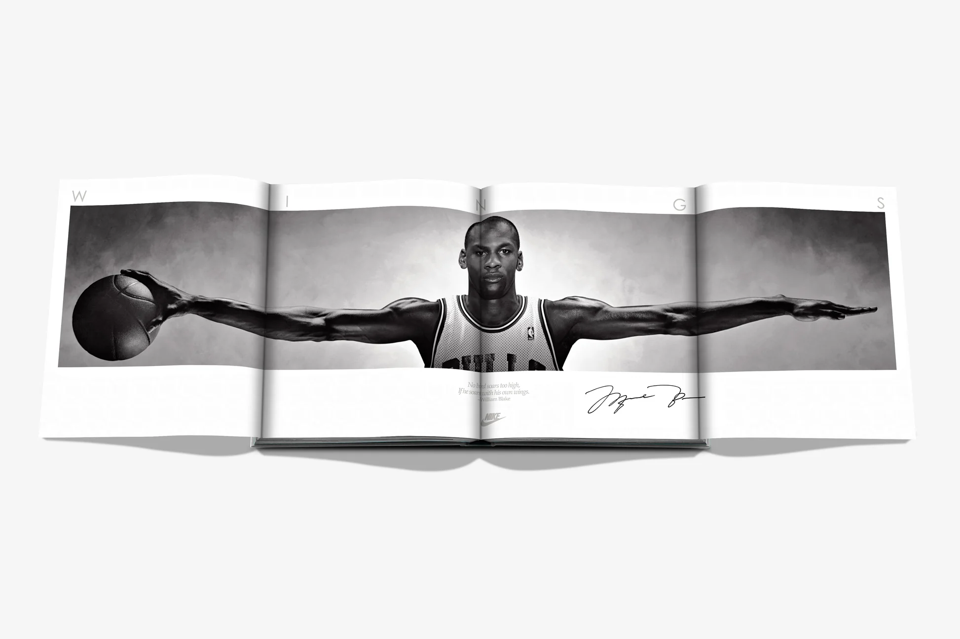 Air Jordan