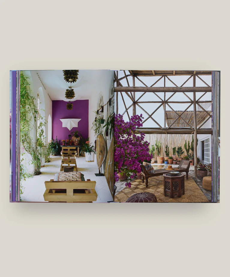 Carlos Mota: Purple Fever