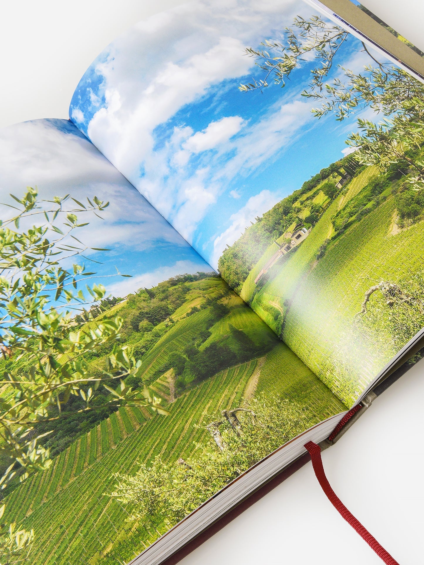 150 Vineyards You Need To Visit Before You Die