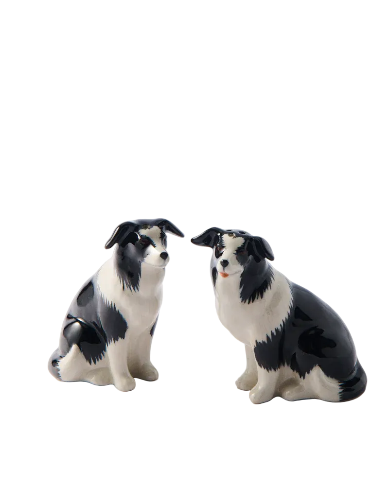 Border Collie Salt & Pepper Shakers