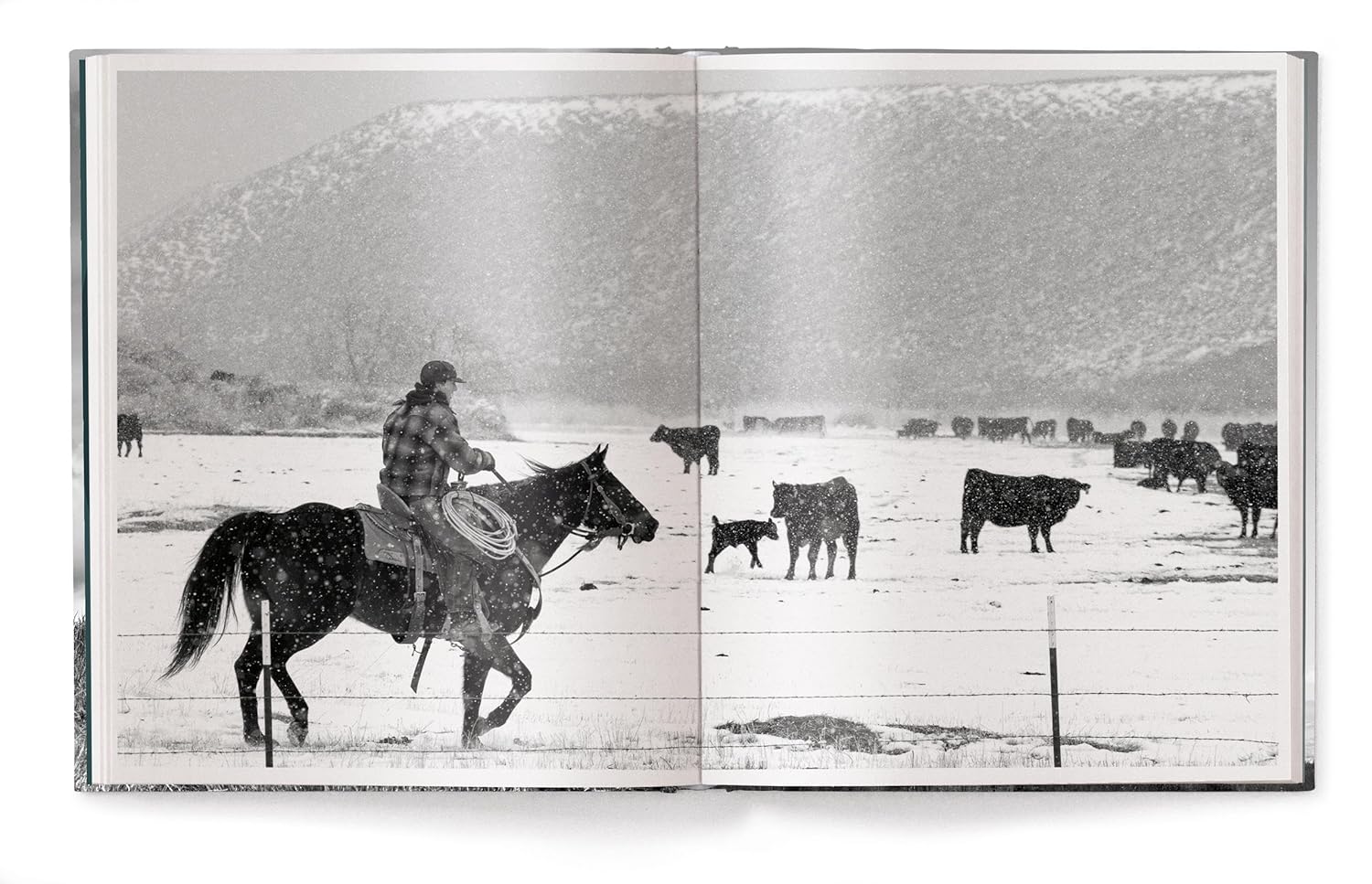 Open book showing a black and white photograph of a person on horseback with cows in a snowy landscape.