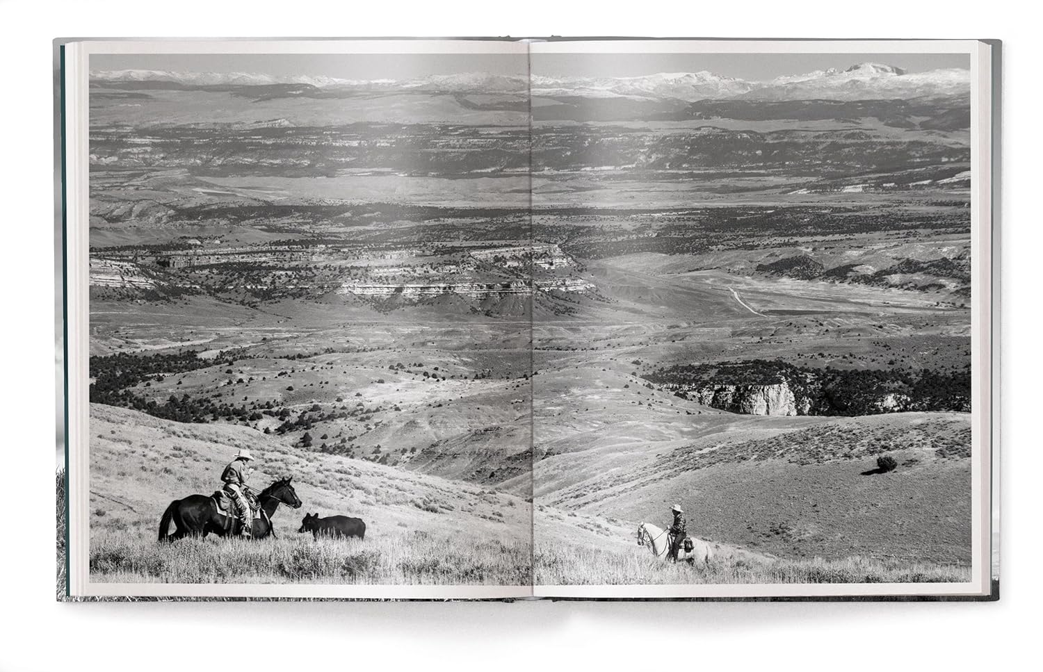 A Ranch Year: Cowboys of the West