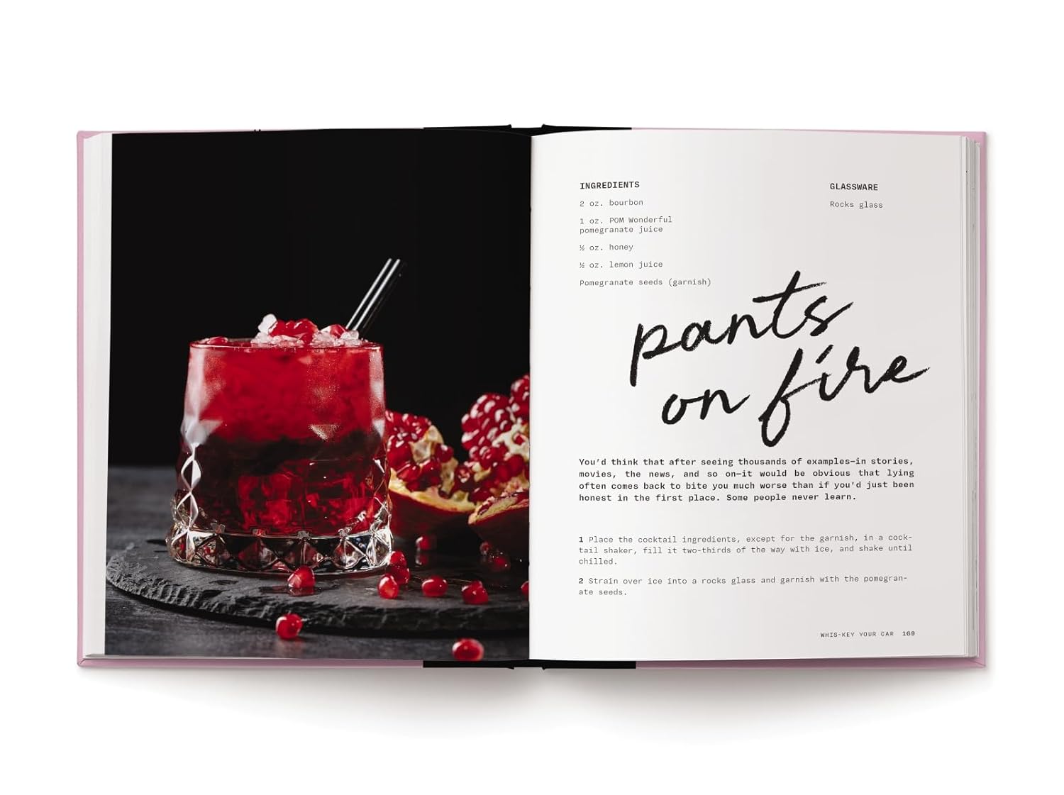 Pour Decisions: 100 Cocktail Recipes Inspired by Your Ex