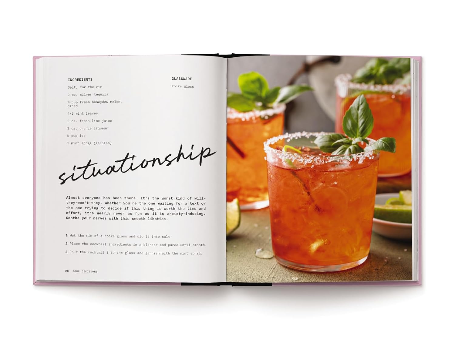 Pour Decisions: 100 Cocktail Recipes Inspired by Your Ex