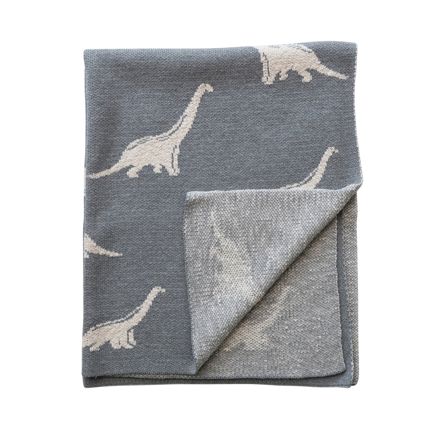 Baby Dinosaur Blanket